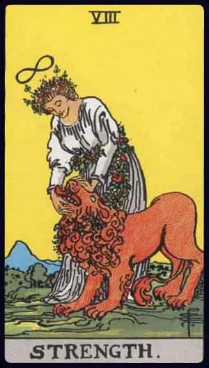Strength tarot card